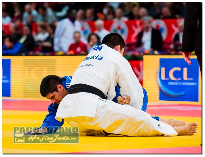 Paris 2014 by P.Lozano cat -90 kg_PLM2686